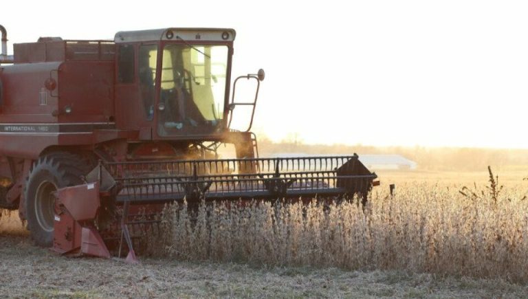 La Niña comenzaría a afectar culminando el invierno